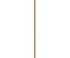 Syoss Brow Tint - Barva na obočí 17 ml Tmavá blond