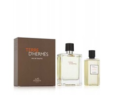 Terre D´ Hermes - EDT 100 ml + dušo želė 80 ml