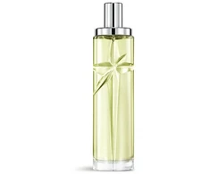 Thierry Mugler Žvaigždėto pistacijų pralinė - EDT