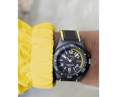 Vyriškas laikrodis TIMEX TW2V66200 + BOX