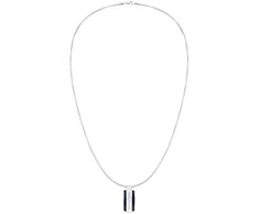 Parker Tommy Hilfiger Stilingas vyriškas karoliai iš plieno Dog Tag 2790599
