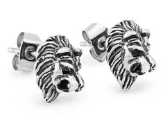 Troli Design steel earrings Lev KS-142