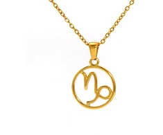 Troli Gold-plated steel pakabukas Capricorn (chain, pendant)