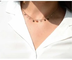 Troli Pinigų karoliai iš Rose Gold plieno