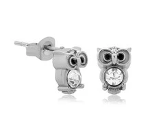 Troli Playful steel earrings with zircons Owl VGE782S-1