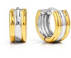 Troli Round bicolor steel earrings VJDE0306081-PS
