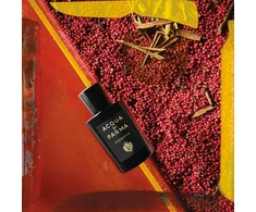 Unisex kvepalai Acqua Di Parma Oud &amp; Spice EDP, 180 ml