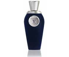V Canto Kashimire V PP kvepalai unisex, 100 ml