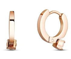 Vuch Manilla Rose Gold Lankeliai Auskarai