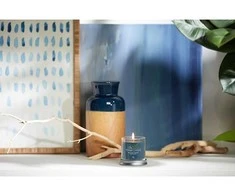 Yankee Candle Bayside Cedar 122 g