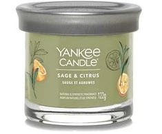 Yankee Candle Yankee žvakė „Salvia &amp; Citrus“ 122 g