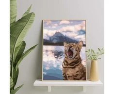 Katinas pliaže 40*50 cm