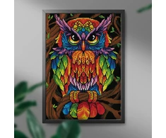 Spalvinga pelėda 40×50 cm (apvalūs deimantukai)