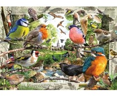 Ravensburger 1000 Puzzle Dėlionė: Feathered Friends