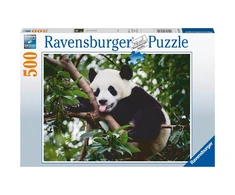 Ravensburger Dėlionė 500 vnt. - Panda