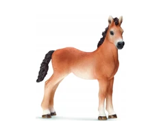 Schleich figūrėlė Tenesio veislės kumeliukas