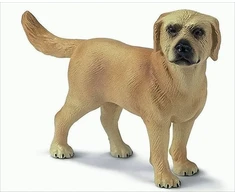 Schleich figūrėlė Labradoro retriveris