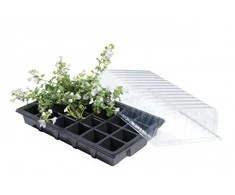 Daigykla 37 x 23,5 cm (3 vnt)
