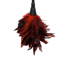 Pipedream FFS Frisky Feather Duster