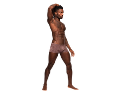 Male Power Mini Short L Mauve - Low Waist, Full Coverage Underwear