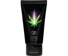 Pharmquests By Shots Cobeco CBD Vanduo-Based Lubricant 50ml - Comfort Formula with Cannabidiol