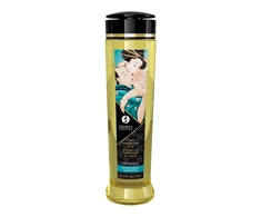 Shunga Massage Oil Sensual 240