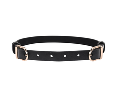 Sportsheets Collar Sportiniai bateliai – Sex &amp; Mischief Dvigubos sagties dienos apykaklė