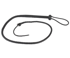 Wild Le Single Tail