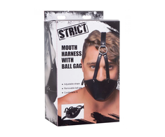 Xr Brands Master Series Ball Gag Adjustable Head Harness - Juodas, Removable Gag