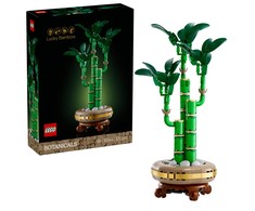 LEGO® Botanicals Laimę nešantis bambukas (10344)