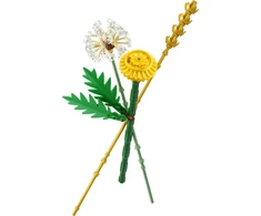„LEGO® Botanicals“ lauko gėlės Konstravimo rinkinys 30701