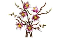 LEGO® Botanicals Magnolijos šakelės, 11510