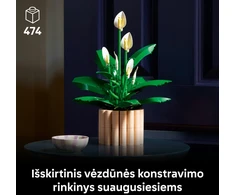LEGO Botanicals Taikos lelija (Spathiphyllum) 11504