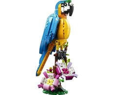 LEGO® Creator 3-in-1 Egzotiška papūga (31136)