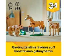 LEGO Creator Gražus žirgas 31166