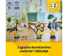 LEGO® Creator Laukiniai gyvūnai: atogrąžų tukanas 31173