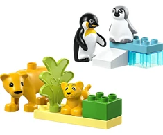 LEGO® DUPLO Laukinių gyvūnų šeimos: pingvinai ir liūtai (10442)