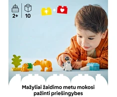 LEGO® DUPLO Laukinių gyvūnų šeimos: pingvinai ir liūtai (10442)