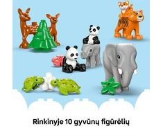 LEGO® DUPLO Laukinių gyvūnų šeimos „trys viename“ (10446)