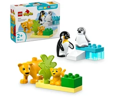 LEGO® DUPLO Laukinių gyvūnų šeimos: pingvinai ir liūtai (10442)
