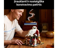 LEGO® Harry Potter™ Išminties akmuo – kolekcinis leidimas 76466