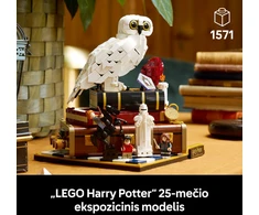 LEGO® Harry Potter™ Išminties akmuo – kolekcinis leidimas 76466