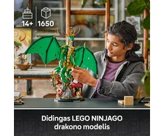 LEGO® Ninjago Drakonas sargas (71847)