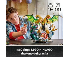 LEGO® NINJAGO® Lemiama drakonų kova Rinkinys 71872