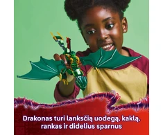 LEGO® Ninjago Lloyd Žaliojo miško drakonas (71829)
