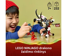 LEGO® NINJAGO® Zilvar ir drakonas-pabaisa Grimtak 71863