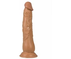 You2Toys Lotynų kalbos mylėtojas