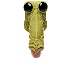 Xr Brands Creature Cocks Swamp Monster Silicone Fantasy Model Juodas 22cm