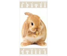 Jerry Fabrics Bunny "Brown" Vaikiškas rankšluostis, 70x140 cm