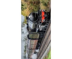 Steam train Vaikiškas rankšluostis, 70x140 cm